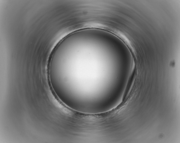 X0000091950947200709131201