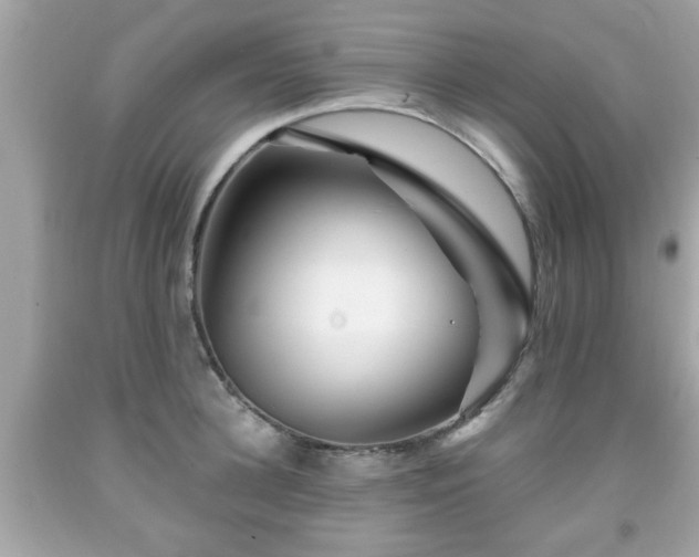 X0000091950948200709131201