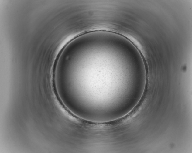 X0000091950949200709131201