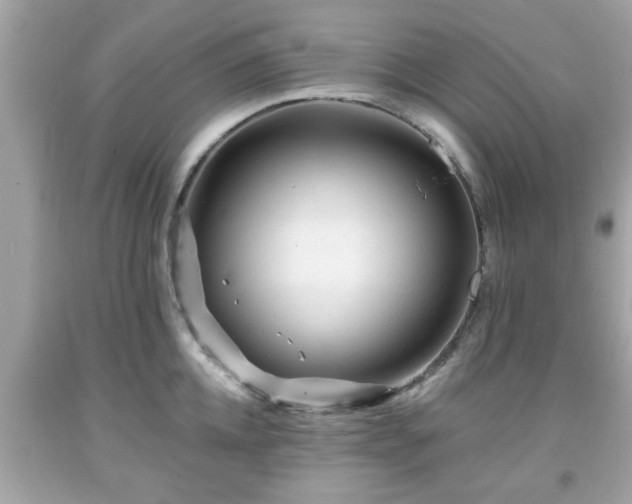 X0000091950952200709131201
