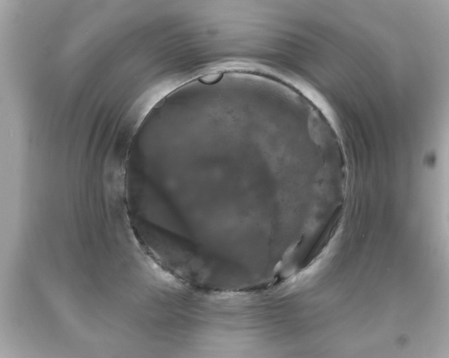 X0000091950953200709131201