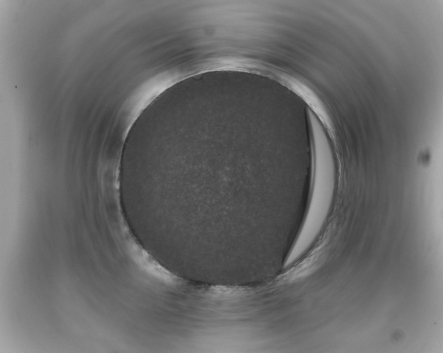 X0000091950954200709131201