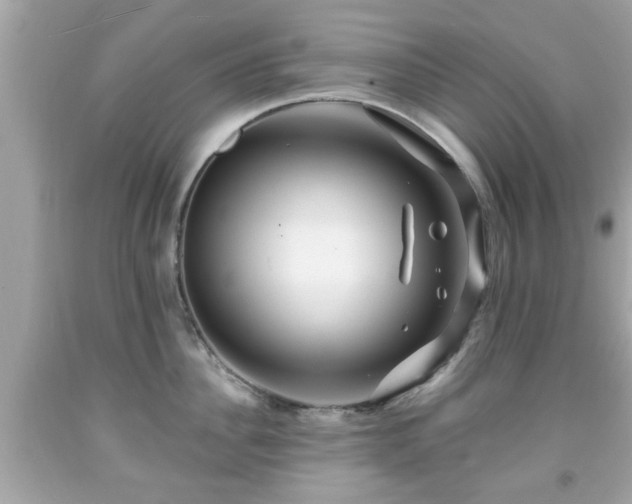 X0000091950956200709131201