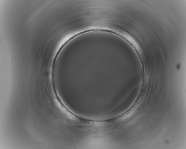 X0000091950958200709131201
