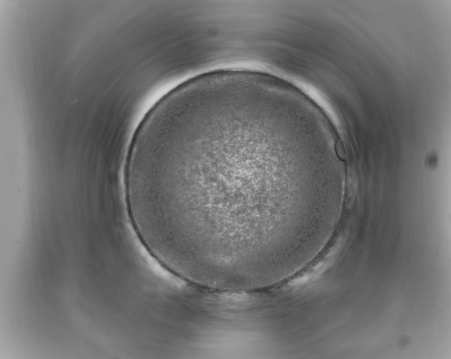 X0000091950959200709131201