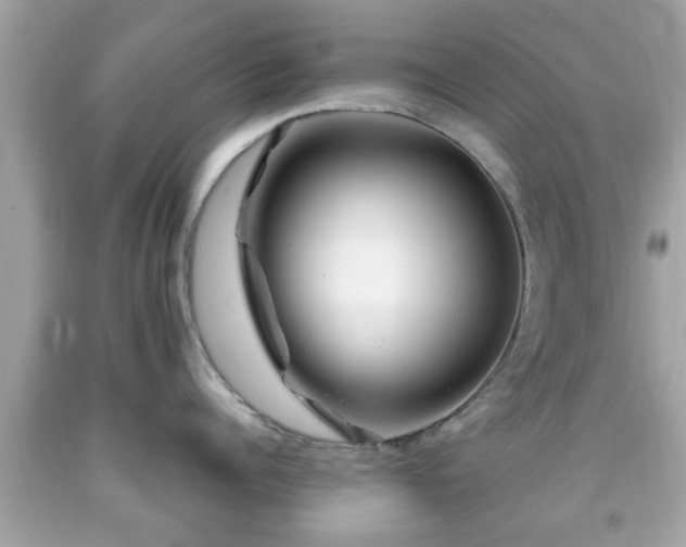 X0000091950960200709131201