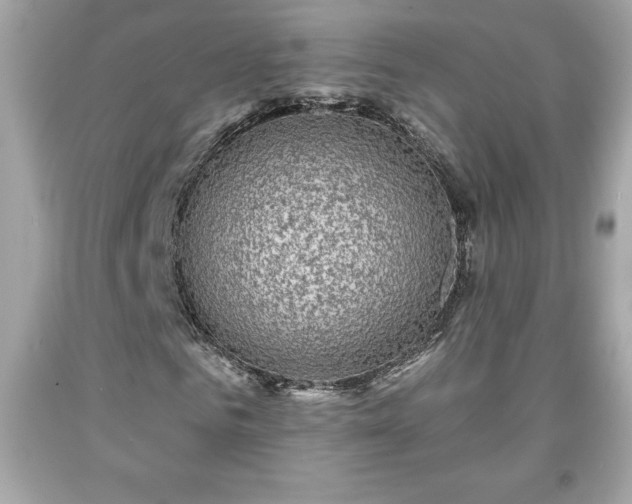 X0000091950961200709131201