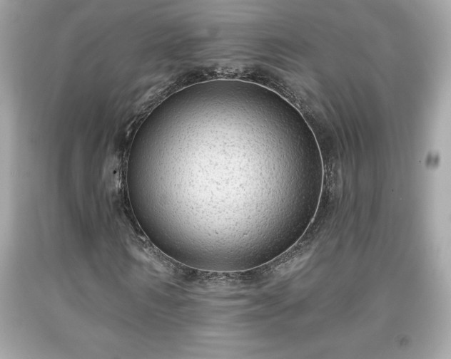 X0000091950962200709131201