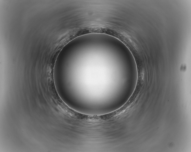 X0000091950964200709131201
