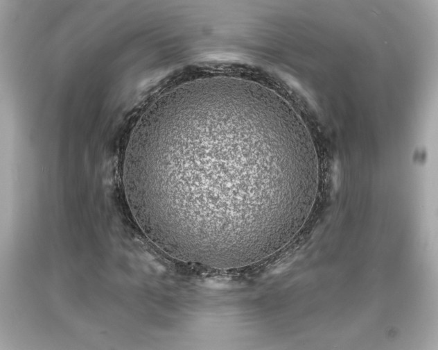 X0000091950965200709131201