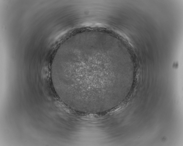 X0000091950966200709131201
