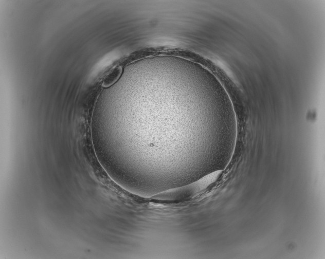X0000091950967200709131200