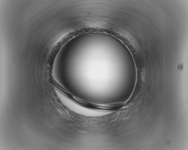 X0000091950968200709131200