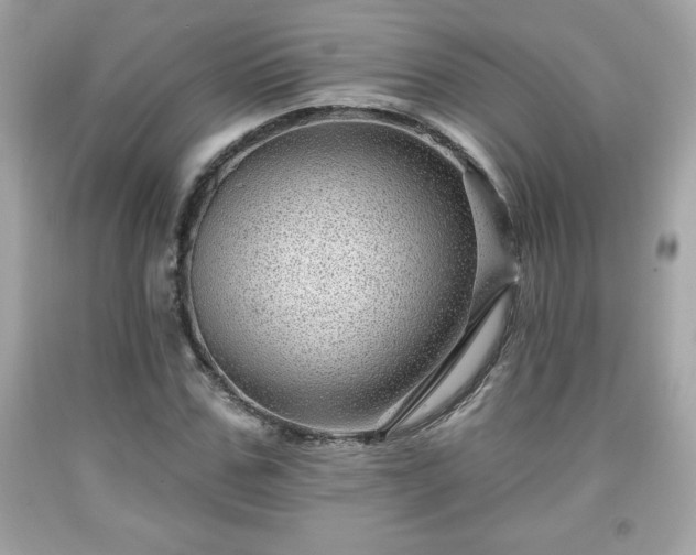 X0000091950971200709131200