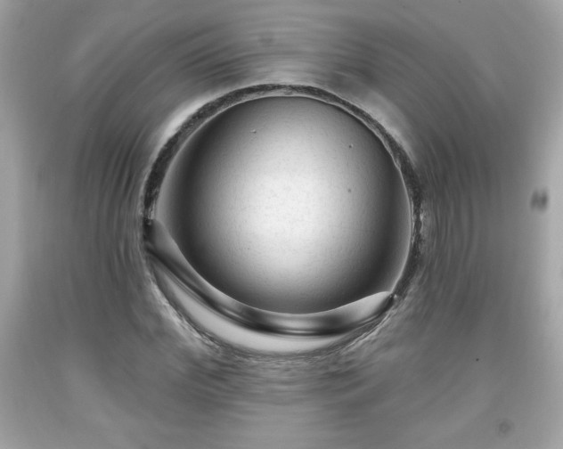 X0000091950972200709131200