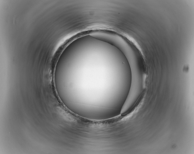 X0000091950973200709131200