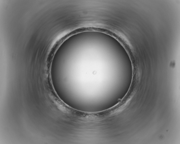 X0000091950974200709131200