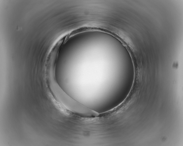 X0000091950976200709131200
