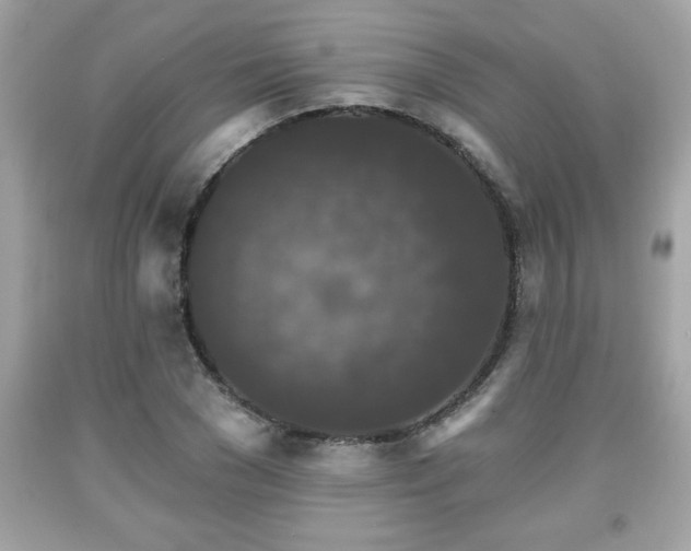 X0000091950977200709131200