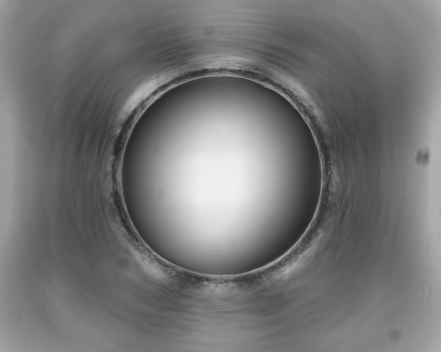 X0000091950978200709131200
