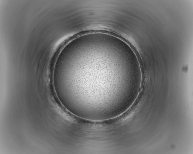 X0000091950979200709131200