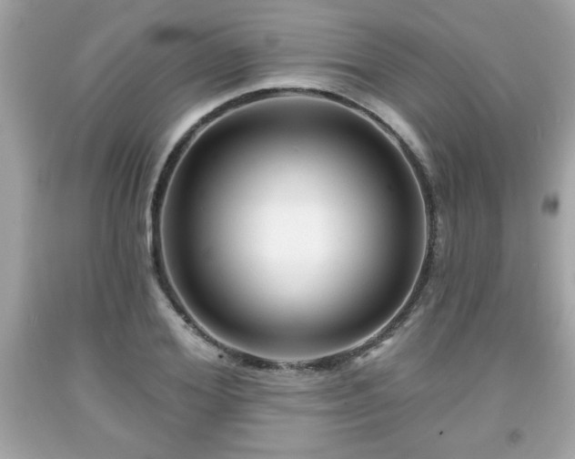 X0000091950980200709131200
