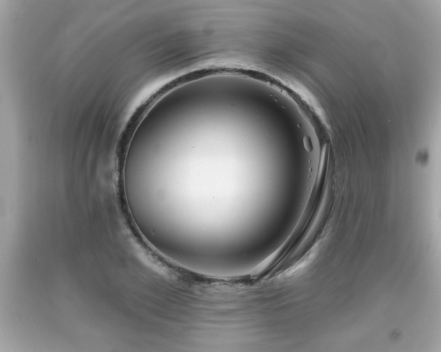 X0000091950981200709131200