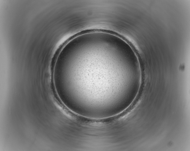 X0000091950982200709131200