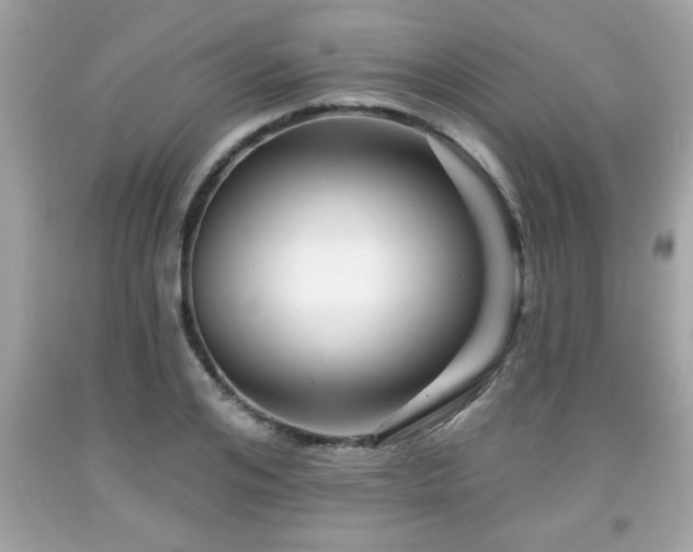 X0000091950984200709131200