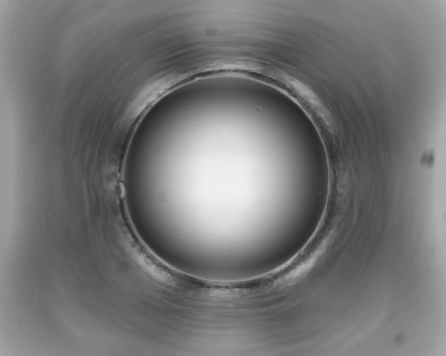 X0000091950985200709131200