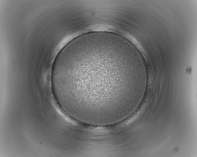 X0000091950986200709131200