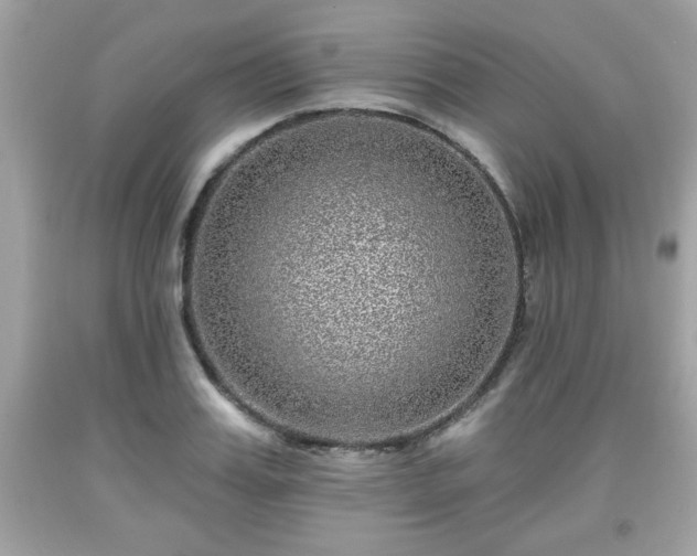 X0000091950987200709131200
