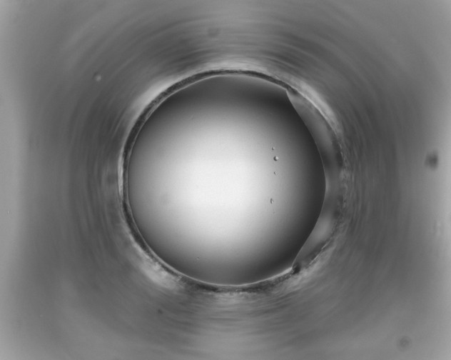 X0000091950988200709131200