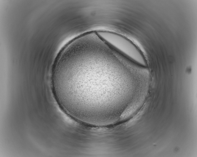 X0000091950991200709131200