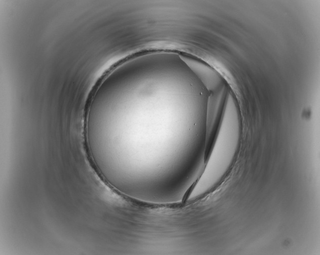 X0000091950992200709131200