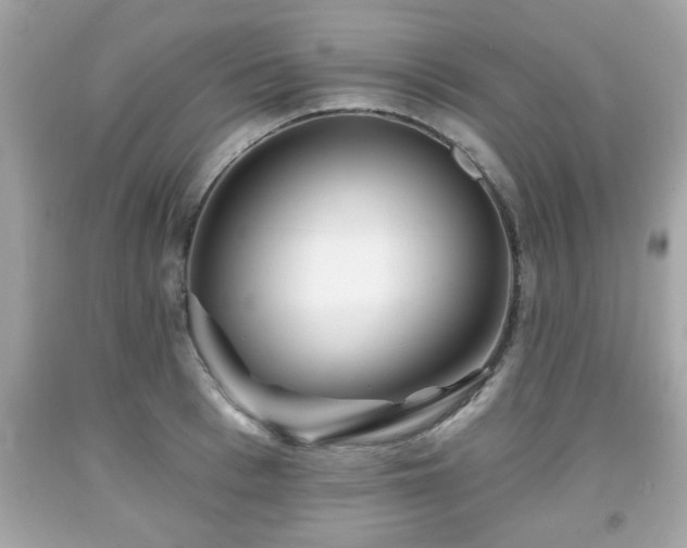 X0000091950993200709131200