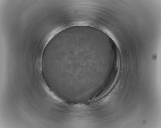 X0000091950994200709131200