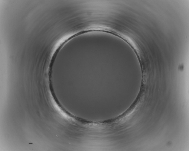 X0000091950995200709131200