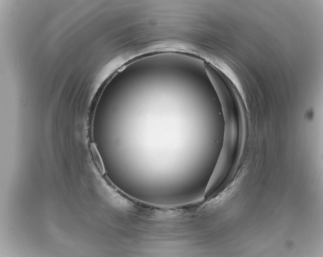 X0000091950997200709131200