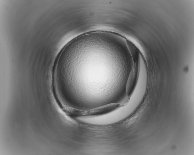 X0000091950999200709131200