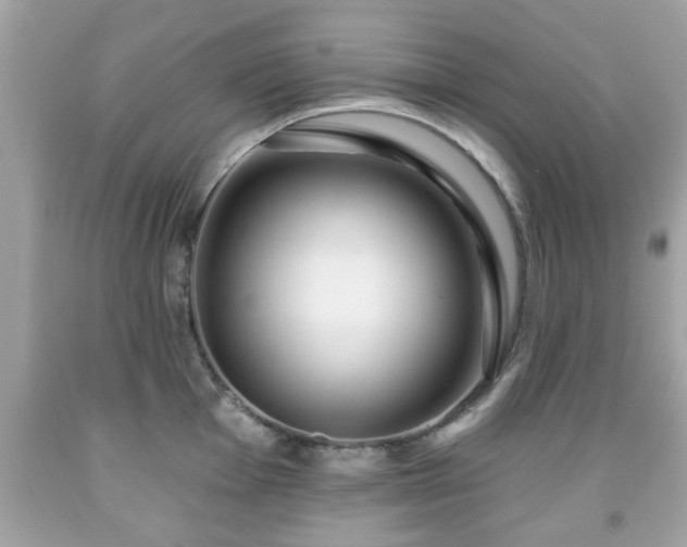 X0000091951001200709131200