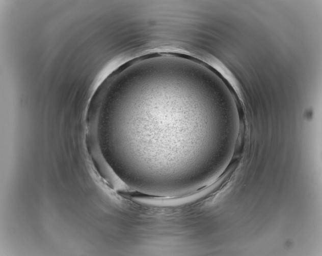 X0000091951002200709131200