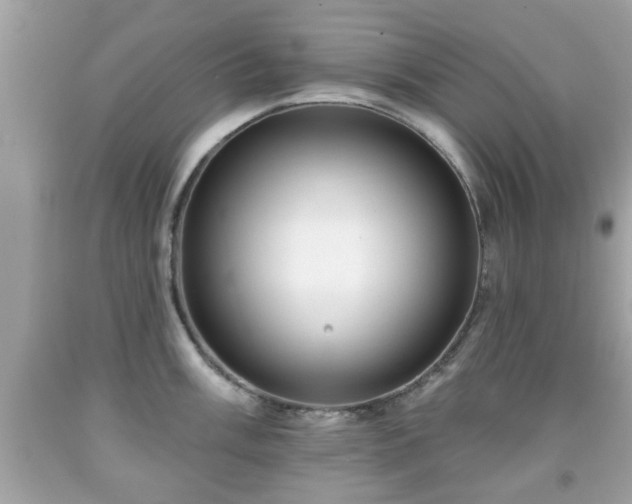 X0000091951003200709131200
