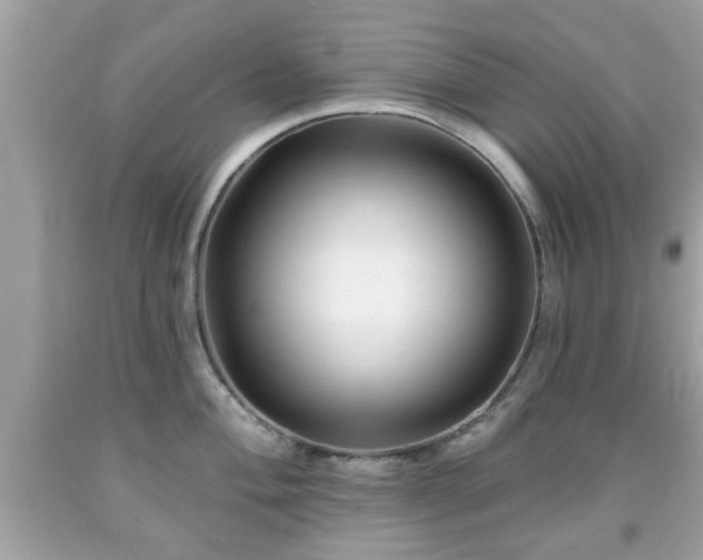 X0000091951004200709131200