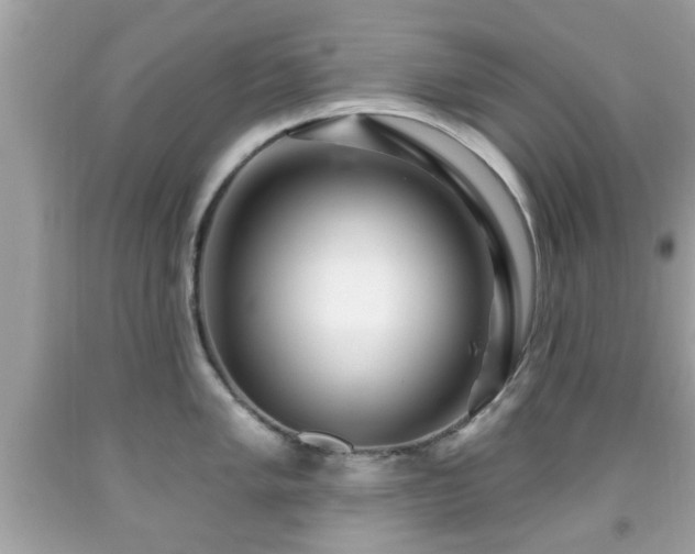 X0000091951005200709131200
