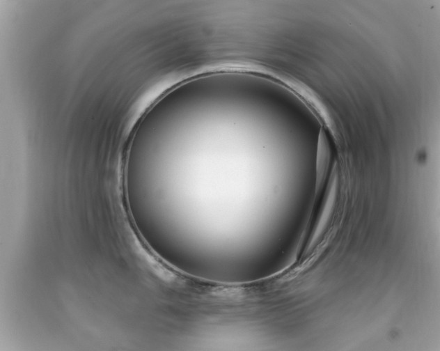 X0000091951006200709131200
