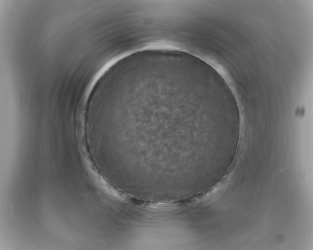X0000091951008200709131200