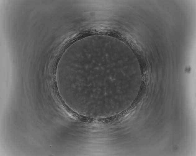 X0000091951009200709131159