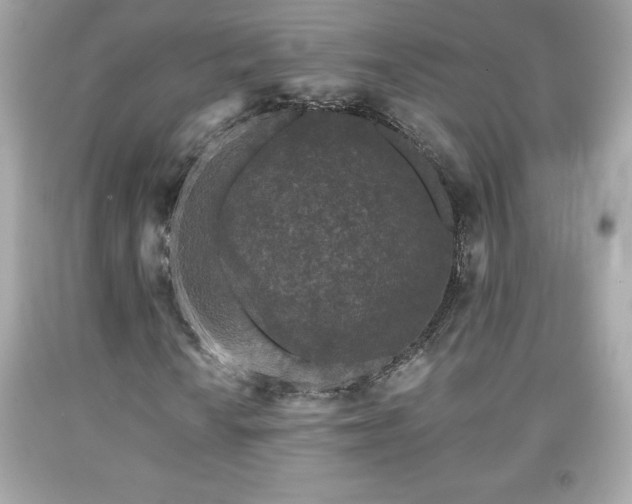 X0000091951010200709131159