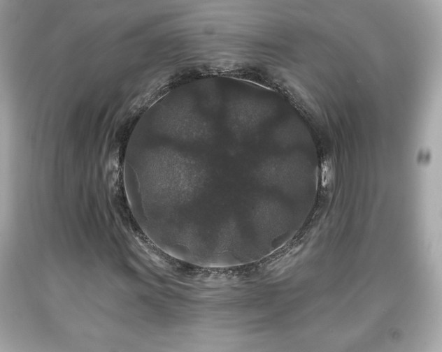 X0000091951011200709131159